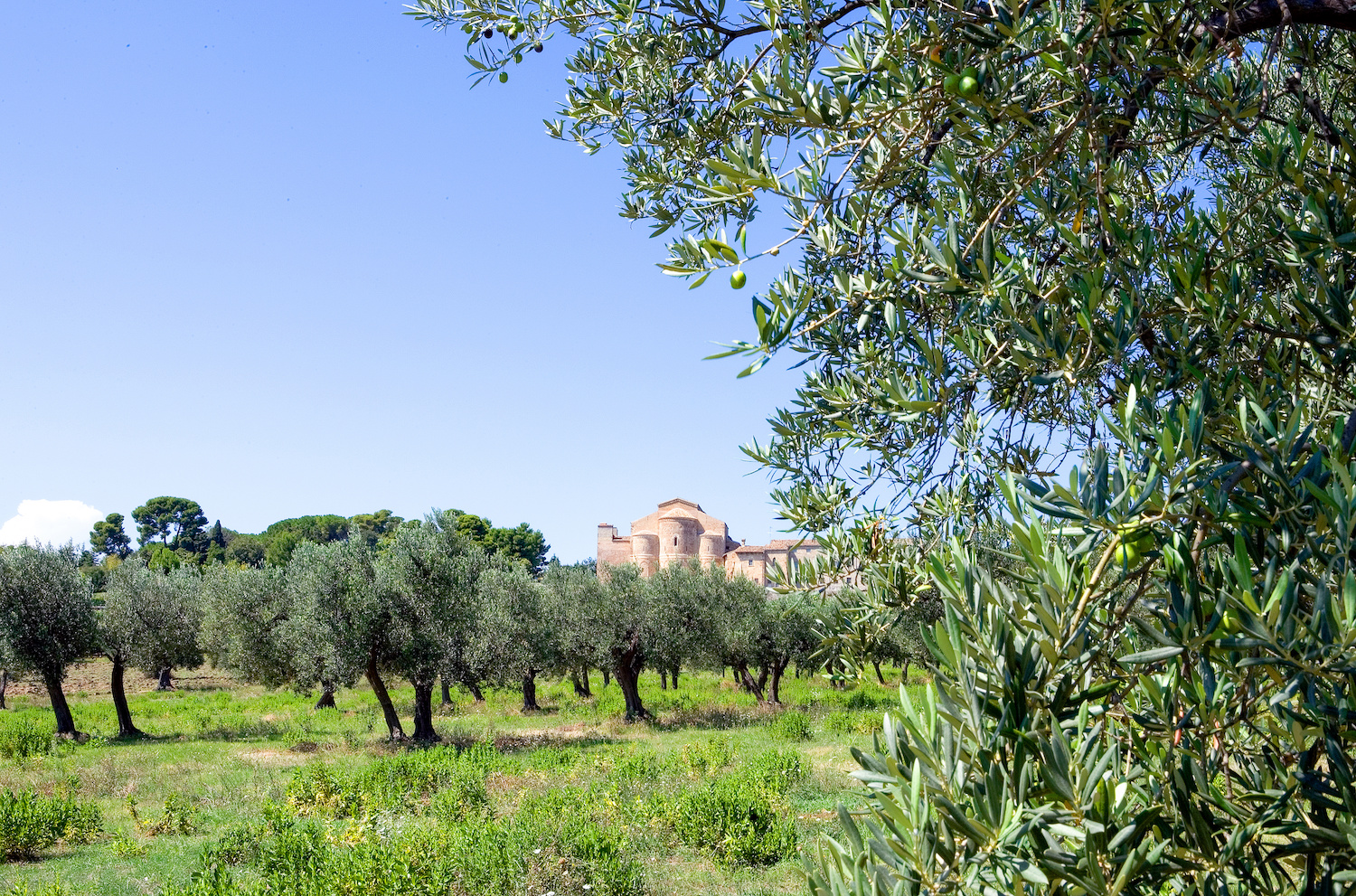 Abbazia di San Giovanni in Venere